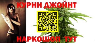 сатива Аргун