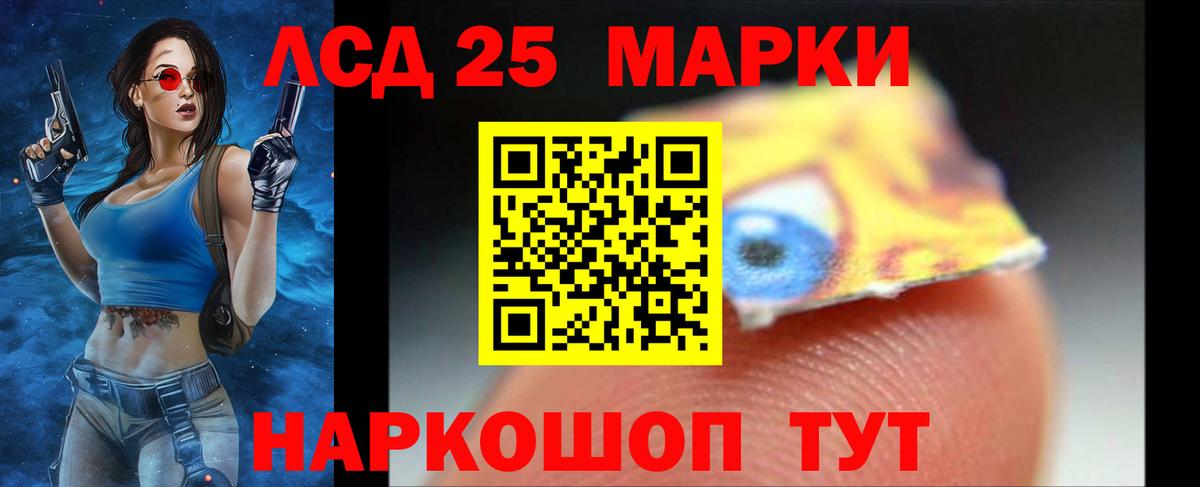 ЛСД экстази кислота  LSD-25 экстази кислота  Лсд 25 экстази  Бердск  Вход с VPN 