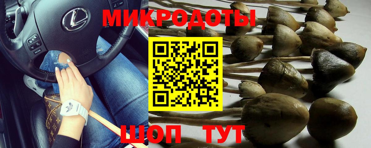 Псилоцибиновые грибы GOLDEN TEACHER Бердск
