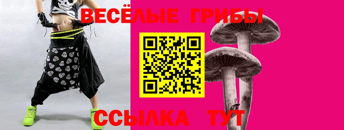 Псилоцибиновые грибы Psilocybe  Бердск 