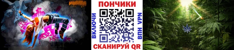 Бошки марихуана марихуана  Бердск 
