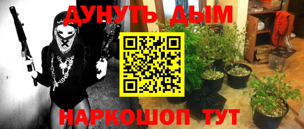 Бошки Шишки семена Бердск
